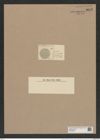 Coscinodiscus subconcavus Grun. (de-Toni-Nr.: Genus 202, Species 4885) Zeichnungen Sammlung Grunow Nr. 8643 (NHMW-BOT-W0378043)